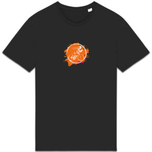 Effet vitesse - orange