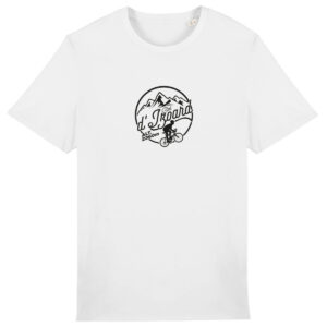 Col de l`Izoard - foncé