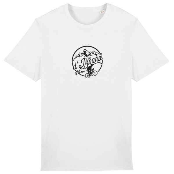 Col de l`Izoard - foncé