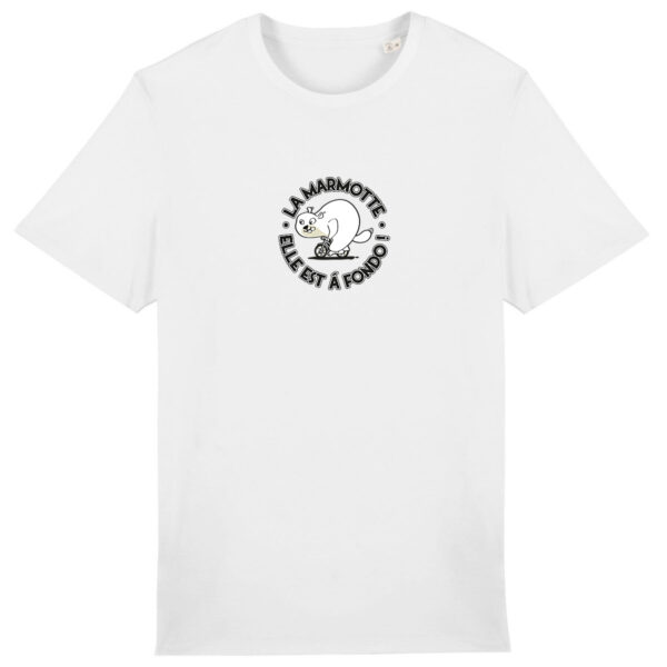 Marmotte - clair