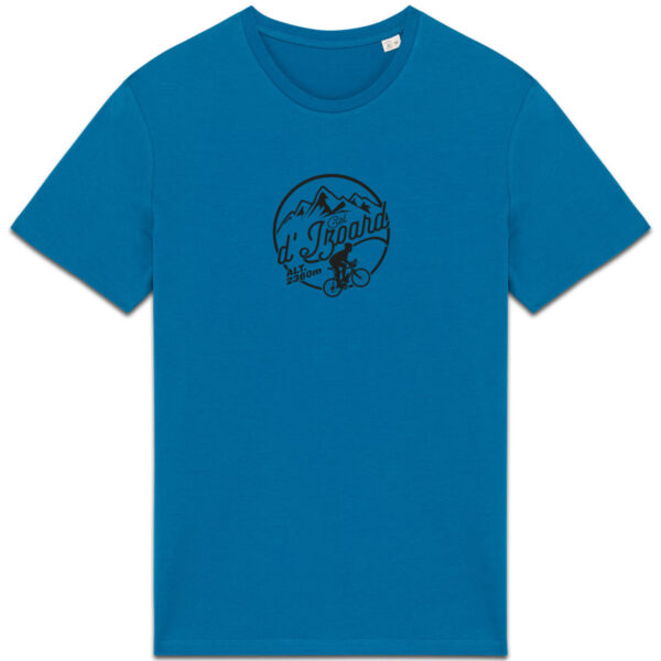 Col de l`Izoard - foncé