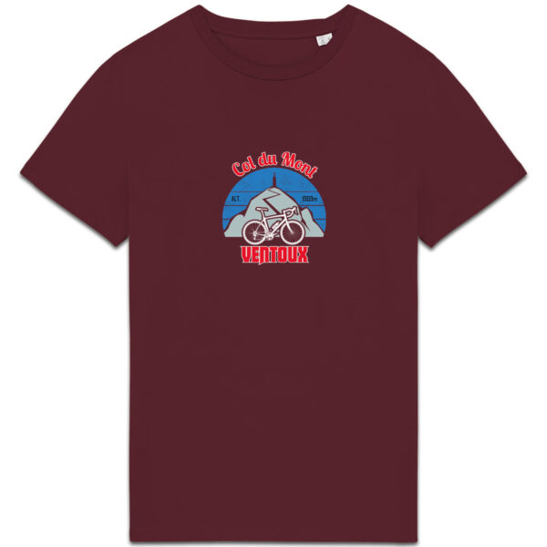 face_2_2 Col du Ventoux - clair