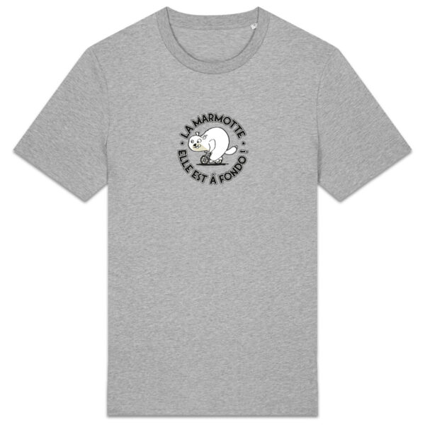 Marmotte - clair