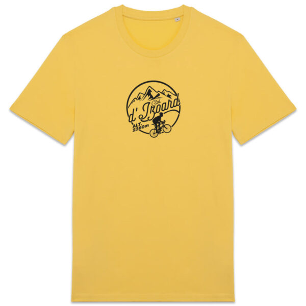 Col de l`Izoard - foncé