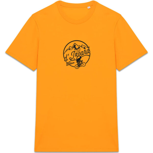 Col de l`Izoard - foncé