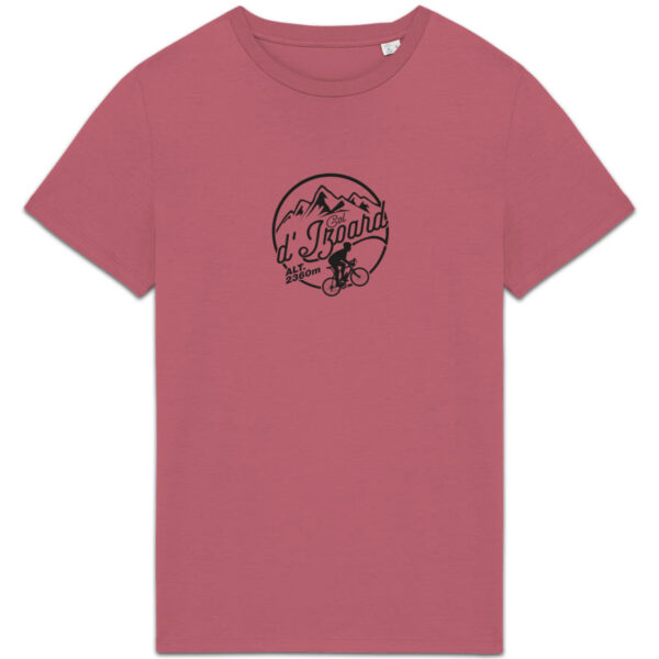 Col de l`Izoard - foncé