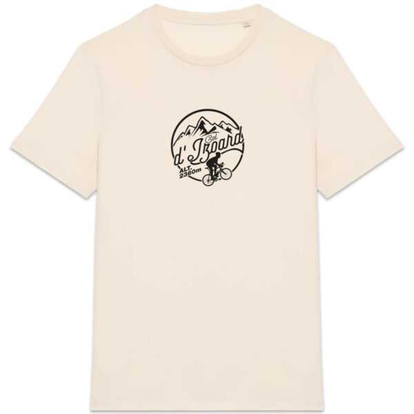 Col de l`Izoard - foncé