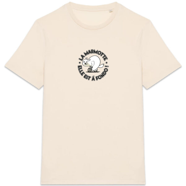 Marmotte - clair